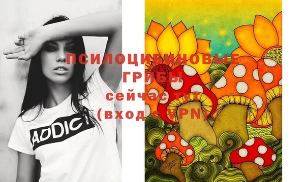 стафф Володарск