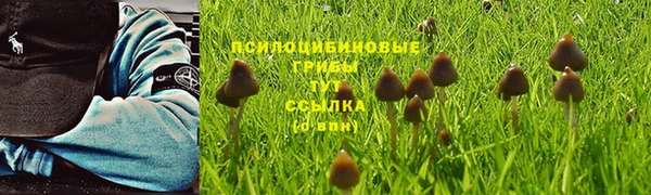 твердый Бронницы