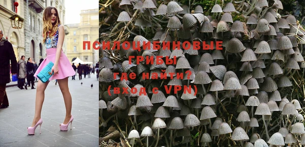 тгк Туринск