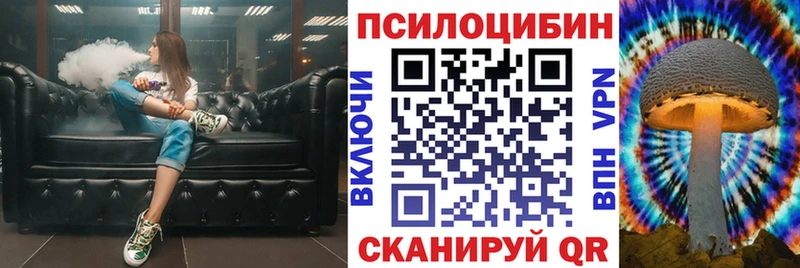 закладка  Звенигород  Галлюциногенные грибы прущие грибы 